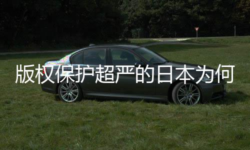 版权保护本为人文二创超严行业界的日地带何同化盛灰色揭秘