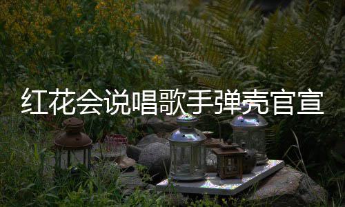子怀二胎恩爱唱歌壳官宣妻红花会说合影手弹 晒