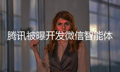 被曝连小微信 网智能这打腾讯体 程序开发友狠将直击太